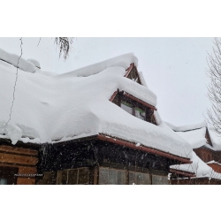 Łopata śniegowa hard head tworzywo sztuczne 497 cm